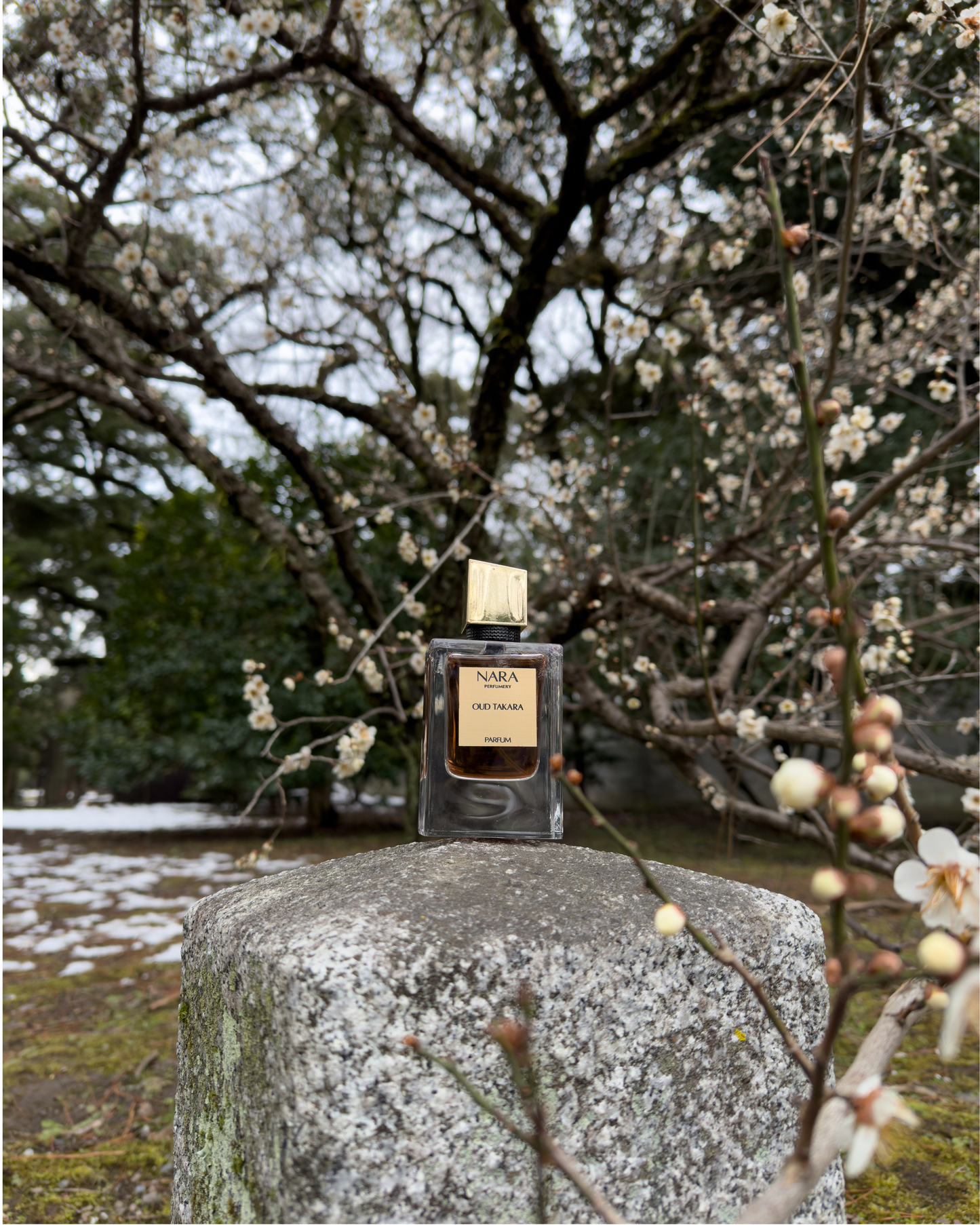 OUD TAKARA