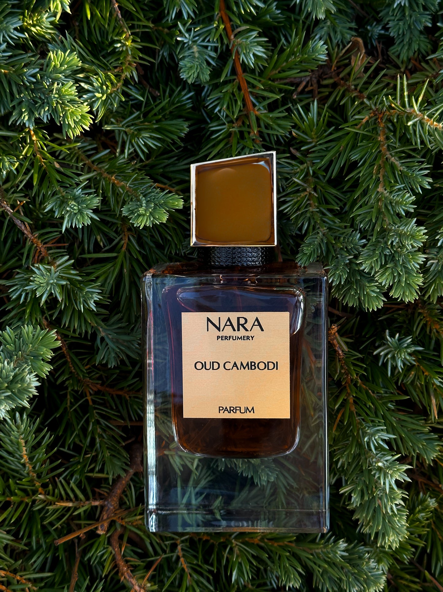 OUD CAMBODI