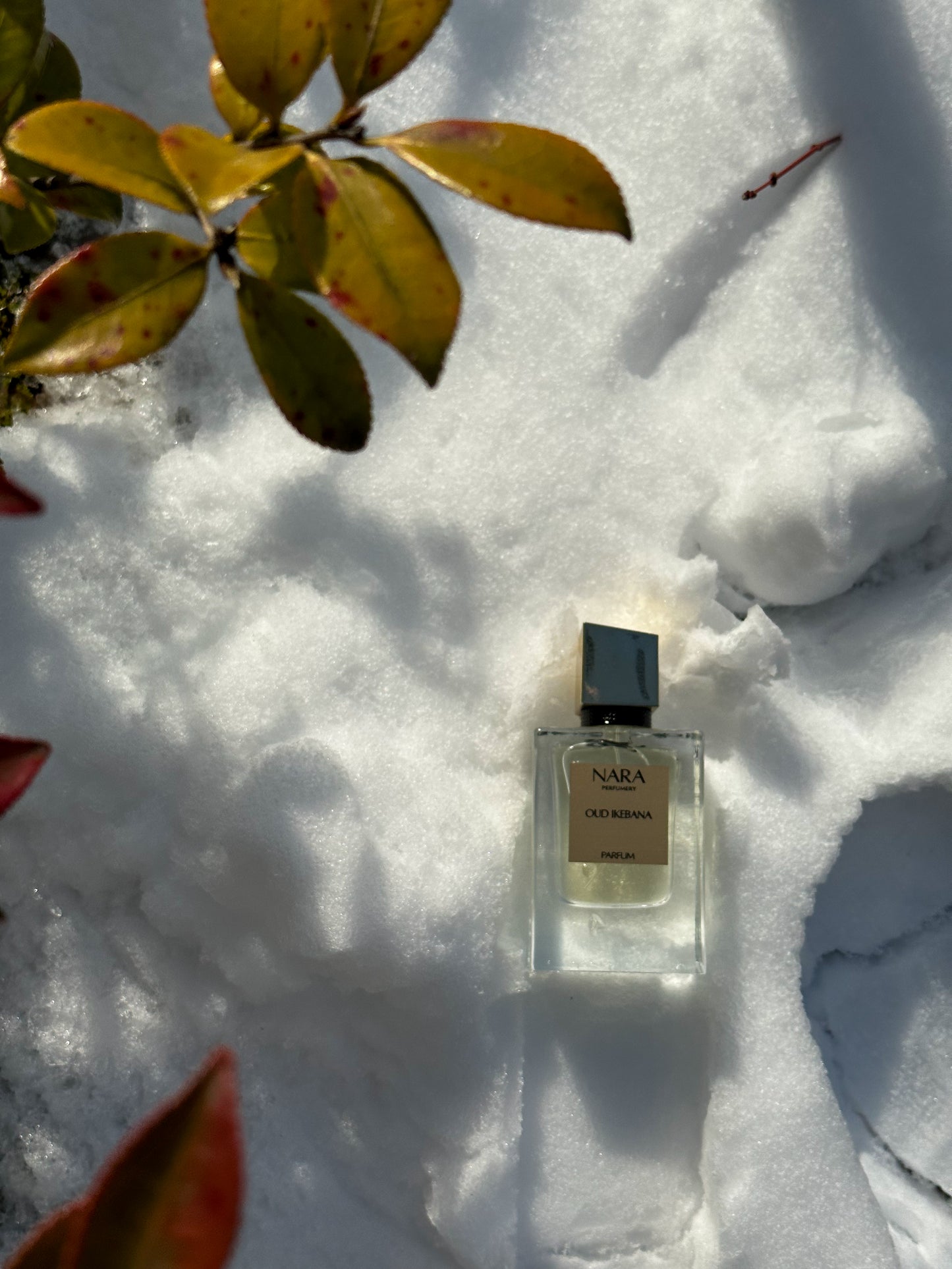 OUD IKEBANA