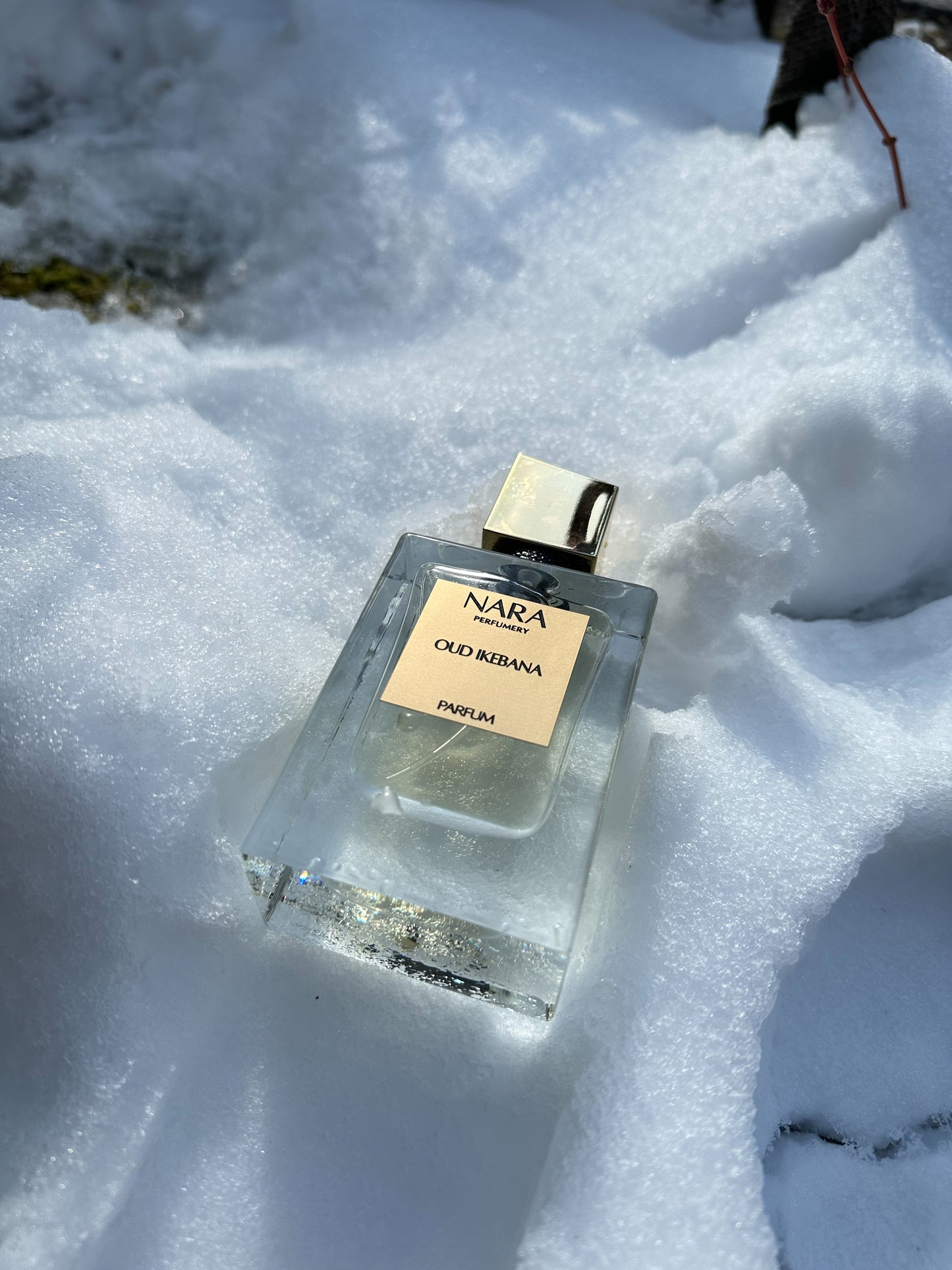 OUD IKEBANA