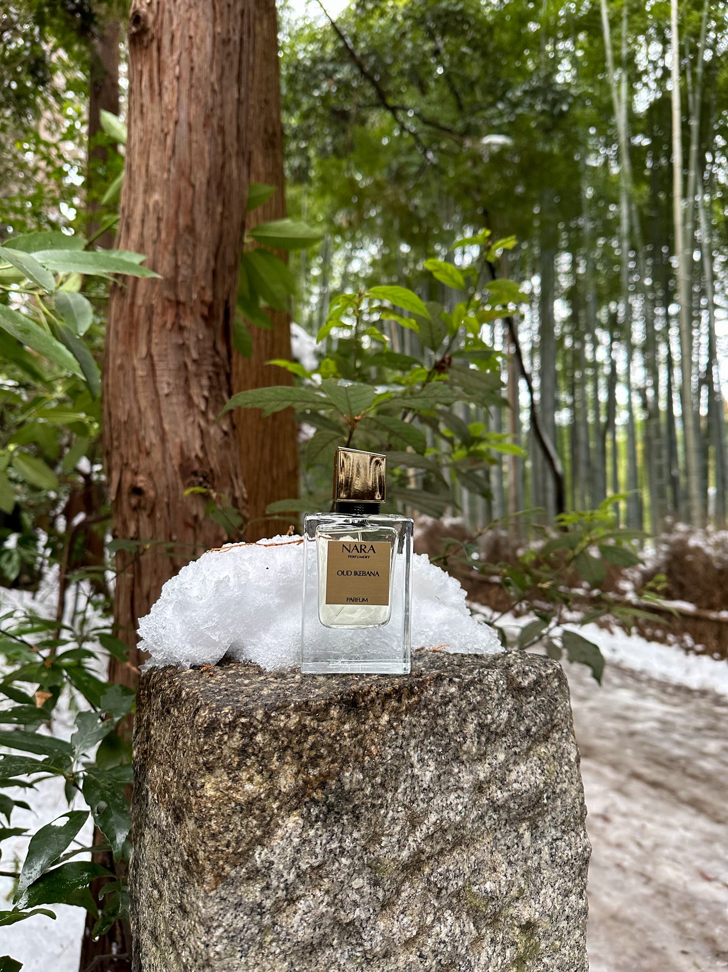 OUD IKEBANA